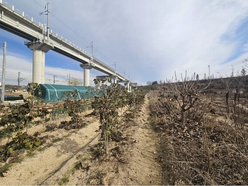 2024타경1643 충청북도 제천시 고명동 697-3 농지 경매 이미지
