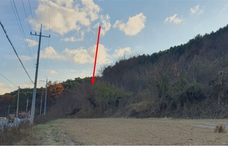 2024타경1667 충청북도 단양군 영춘면 사이곡리 550-1 농지 경매 이미지