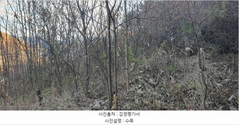 2024타경1667 충청북도 단양군 영춘면 사이곡리 550-1 농지 경매 이미지