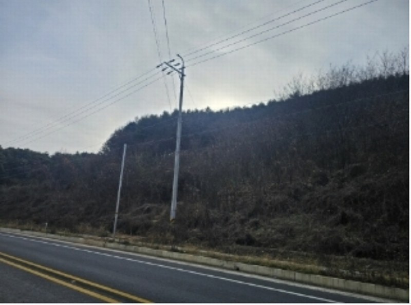 2024타경1667 충청북도 단양군 영춘면 사이곡리 550-1 농지 경매 이미지