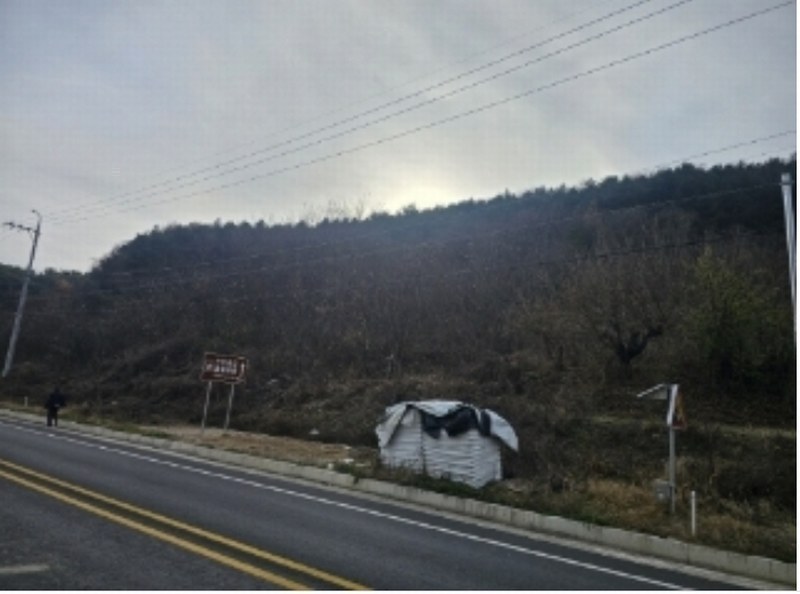 2024타경1667 충청북도 단양군 영춘면 사이곡리 550-1 농지 경매 이미지