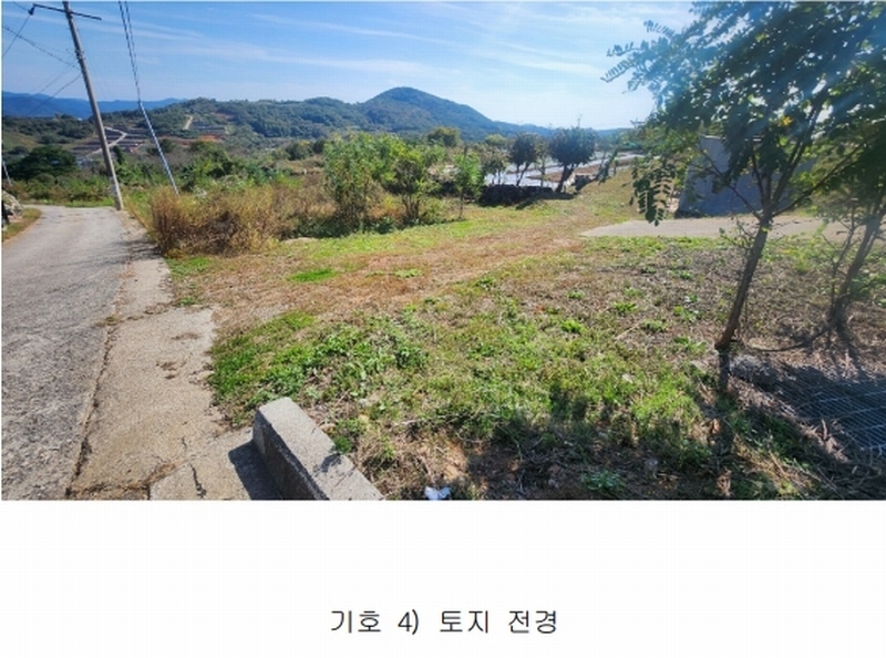2024타경5829 경상남도 산청군 단성면 방목리 994 과수원 경매 이미지