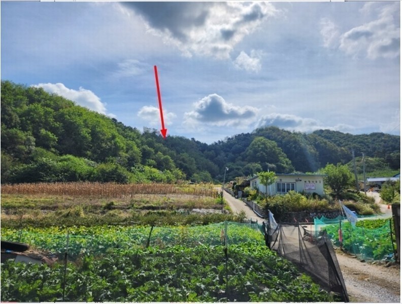 2024타경7283 충청북도 제천시 신월동 산67-5 임야 경매 이미지