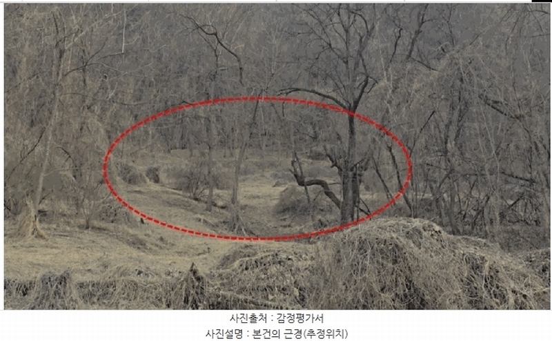 2025타경90 충청북도 제천시 수산면 괴곡리 253 농지 경매 이미지