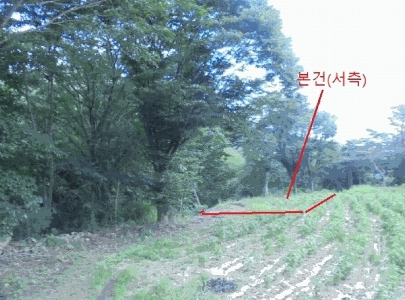 2025타경144 충청북도 제천시 백운면 덕동리 275-8 임야 경매 이미지