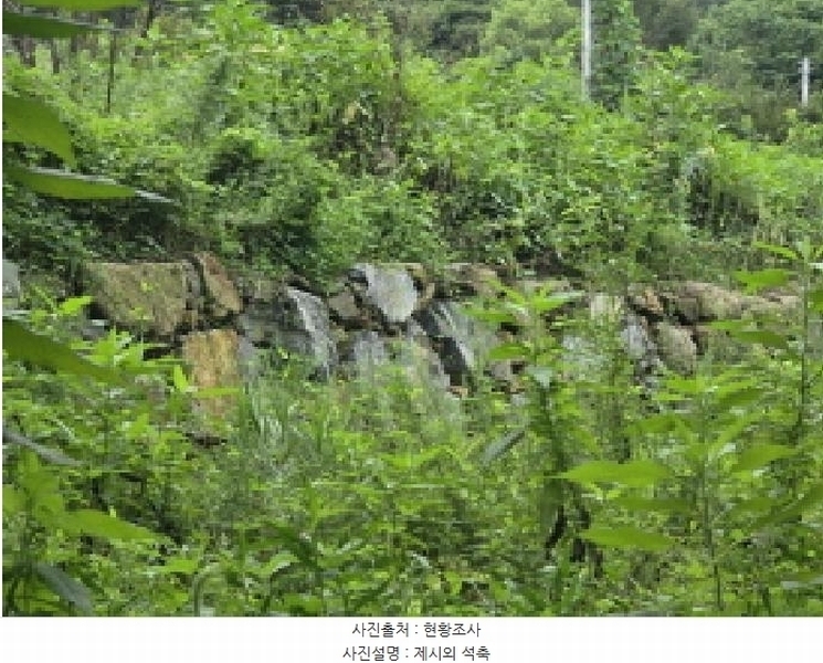 2025타경144 충청북도 제천시 백운면 덕동리 275-8 임야 경매 이미지