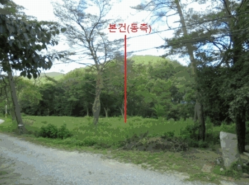 2025타경144 충청북도 제천시 백운면 덕동리 275-8 임야 경매 이미지