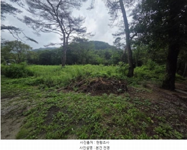 2025타경144 충청북도 제천시 백운면 덕동리 275-8 임야 경매 이미지