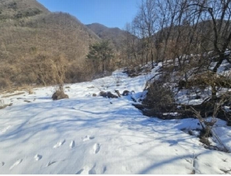 2025타경5161 충청북도 단양군 단양읍 덕상리 66 농지 경매 이미지