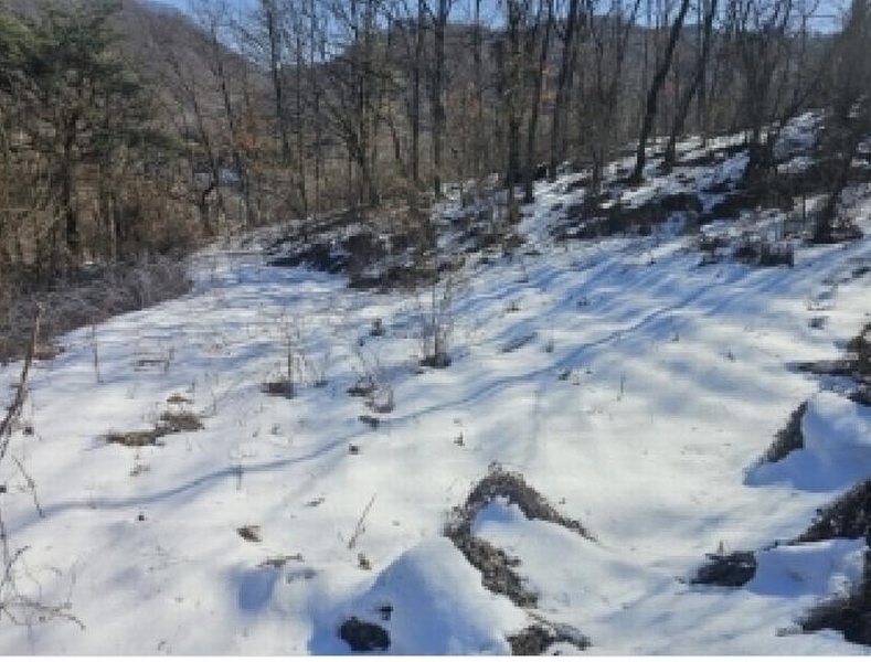 2025타경5161 충청북도 단양군 단양읍 덕상리 66 농지 경매 이미지