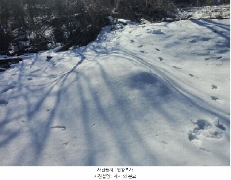 2025타경5161 충청북도 단양군 단양읍 덕상리 66 농지 경매 이미지