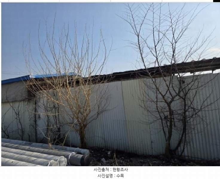 2025타경5276 충청북도 제천시 고암동 905 농지 경매 이미지