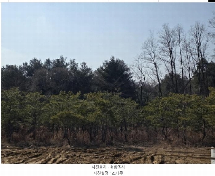 2025타경5276 충청북도 제천시 고암동 905 농지 경매 이미지