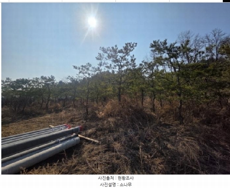 2025타경5276 충청북도 제천시 고암동 905 농지 경매 이미지