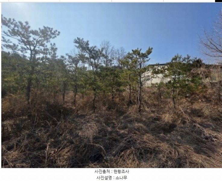 2025타경5276 충청북도 제천시 고암동 905 농지 경매 이미지