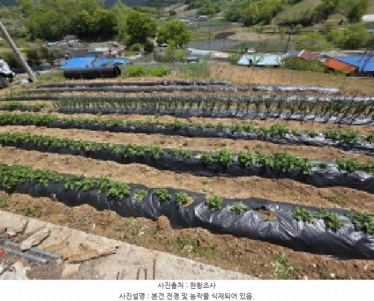 2025타경5294 충청북도 제천시 수산면 수리 42 농지 경매 이미지
