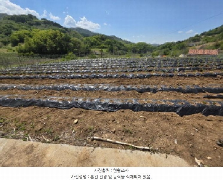 2025타경5294 충청북도 제천시 수산면 수리 42 농지 경매 이미지