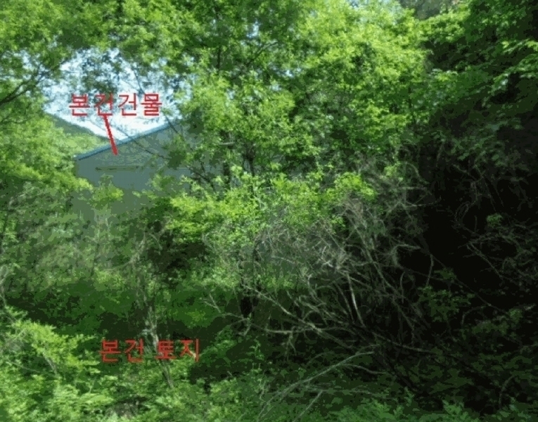 2025타경5314 충청북도 제천시 금성면 대장리 238-2 공장 경매 이미지