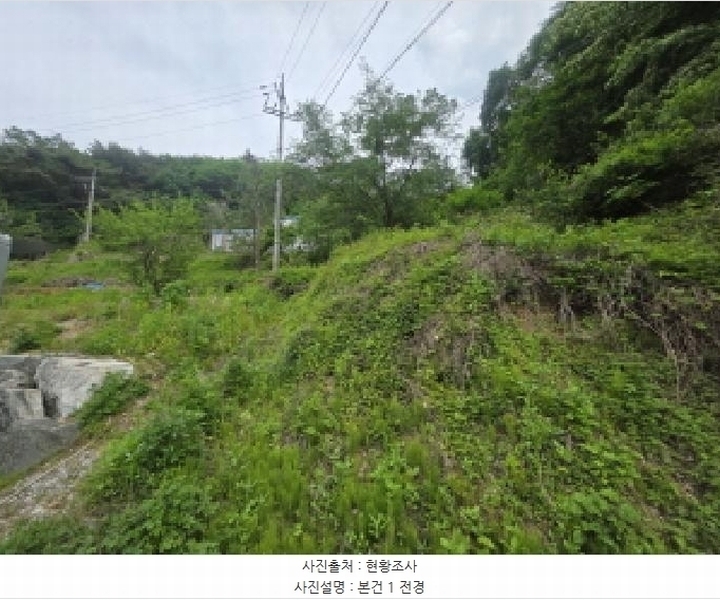 2025타경5314 충청북도 제천시 금성면 대장리 238-2 공장 경매 이미지