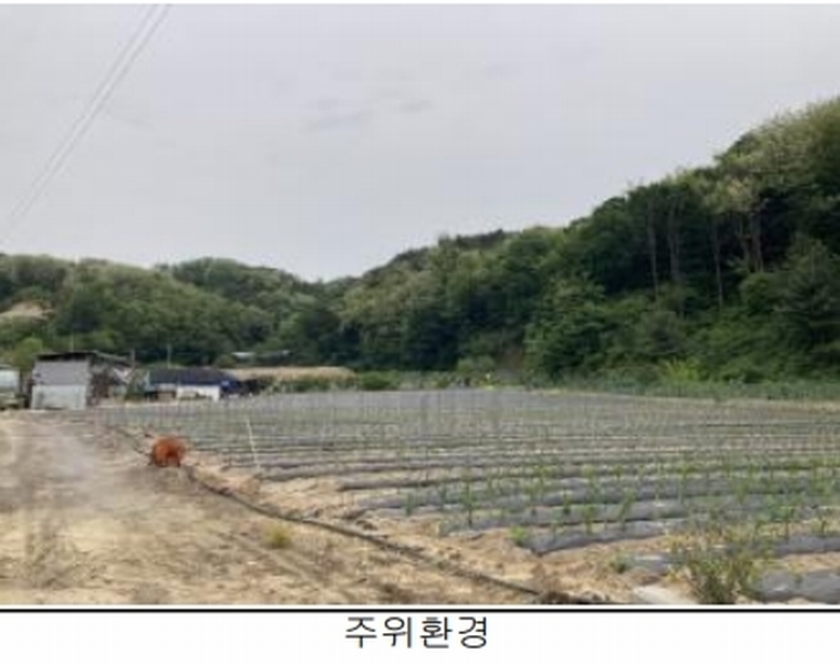 2025타경5318 충청북도 제천시 왕암동 산18-5 임야 경매 이미지