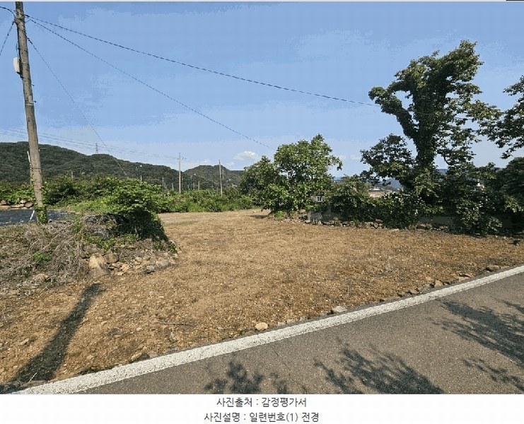 2025타경5322 충청북도 단양군 적성면 하리 398 농지 경매 이미지