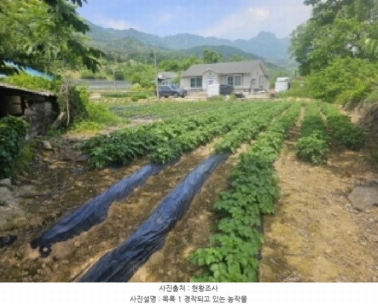 2025타경5322 충청북도 단양군 적성면 하리 398 농지 경매 이미지