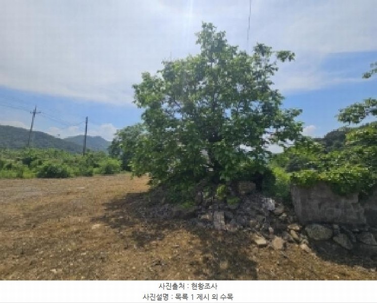 2025타경5322 충청북도 단양군 적성면 하리 398 농지 경매 이미지