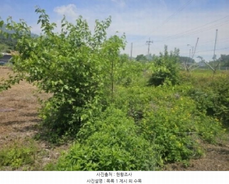 2025타경5322 충청북도 단양군 적성면 하리 398 농지 경매 이미지