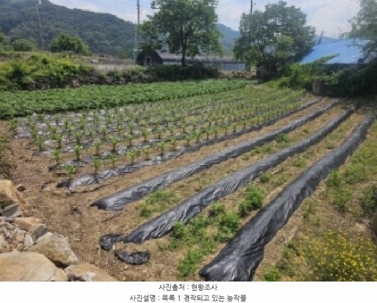 2025타경5322 충청북도 단양군 적성면 하리 398 농지 경매 이미지