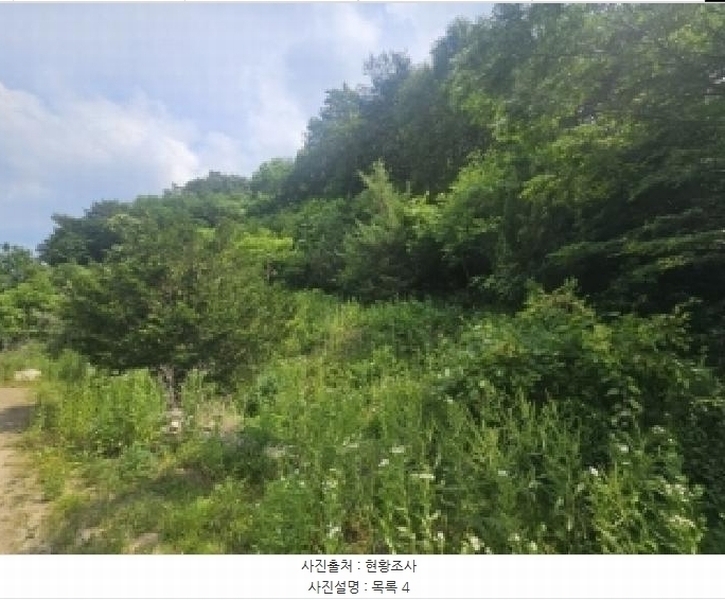 2025타경5334 충청북도 단양군 영춘면 동대리 722-3 근린주택 경매 이미지