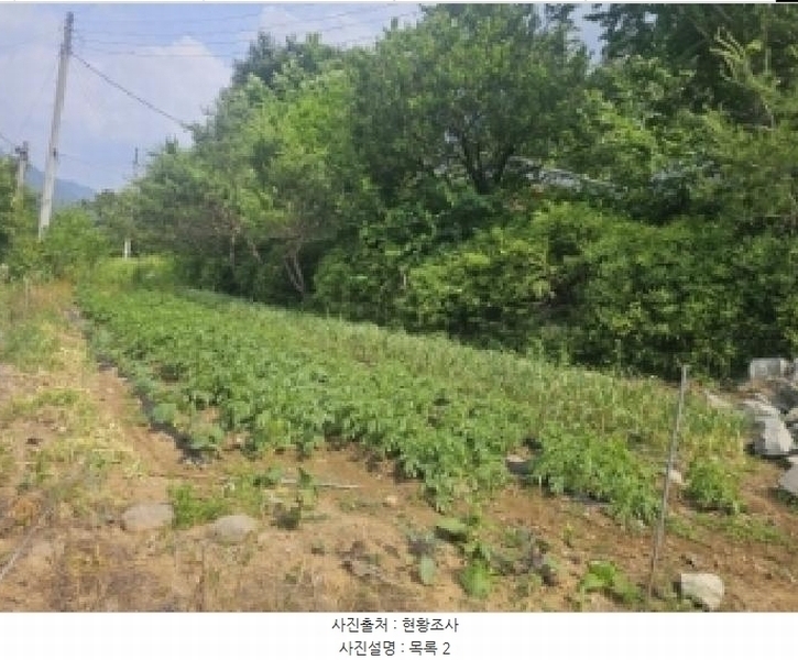 2025타경5334 충청북도 단양군 영춘면 동대리 722-3 근린주택 경매 이미지