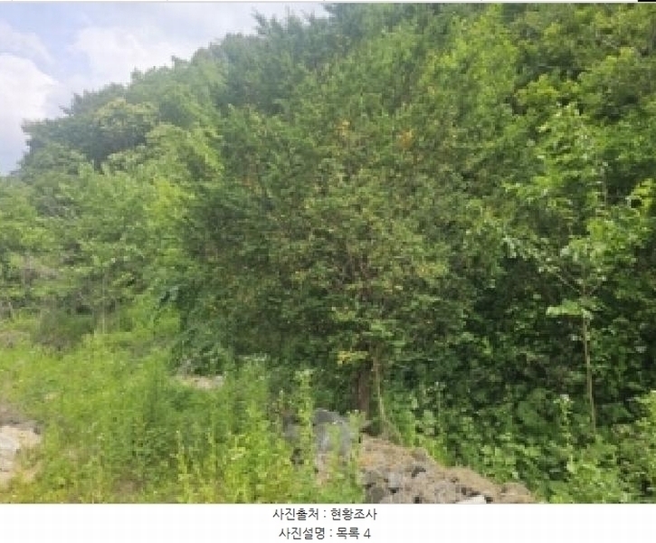 2025타경5334 충청북도 단양군 영춘면 동대리 722-3 근린주택 경매 이미지