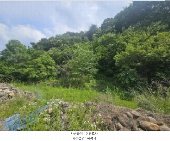 2025타경5334 충청북도 단양군 영춘면 동대리 722-3 근린주택 경매 이미지
