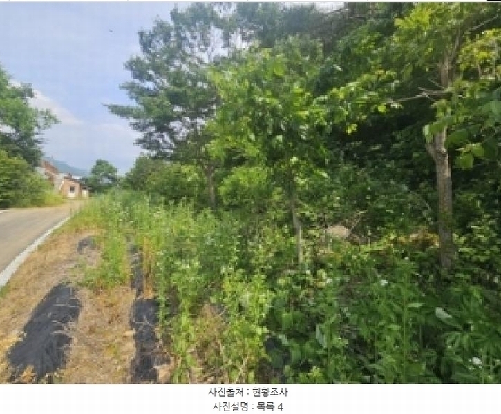2025타경5334 충청북도 단양군 영춘면 동대리 722-3 근린주택 경매 이미지