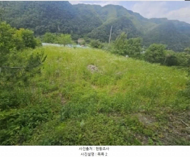 2025타경5334 충청북도 단양군 영춘면 동대리 722-3 근린주택 경매 이미지