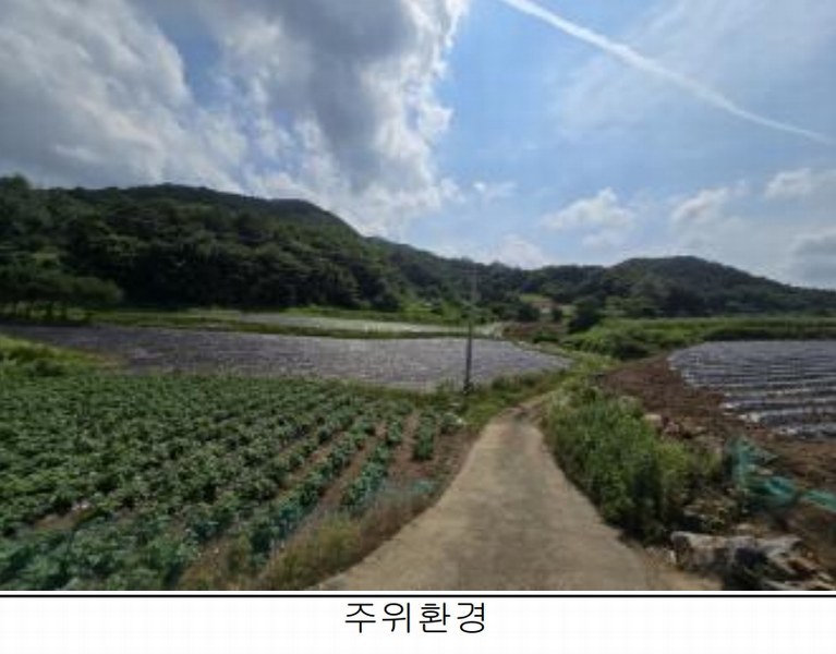 2025타경5340 충청북도 제천시 청풍면 장선리 279 농지 경매 이미지