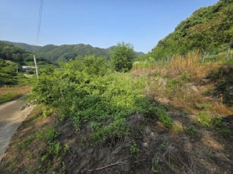 2025타경5340 충청북도 제천시 청풍면 장선리 279 농지 경매 이미지