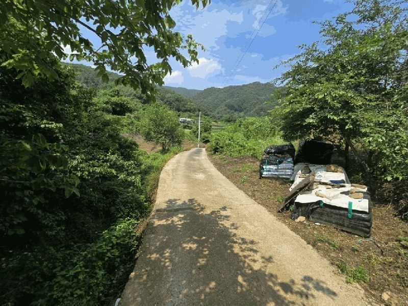 2025타경5340 충청북도 제천시 청풍면 장선리 279 농지 경매 이미지