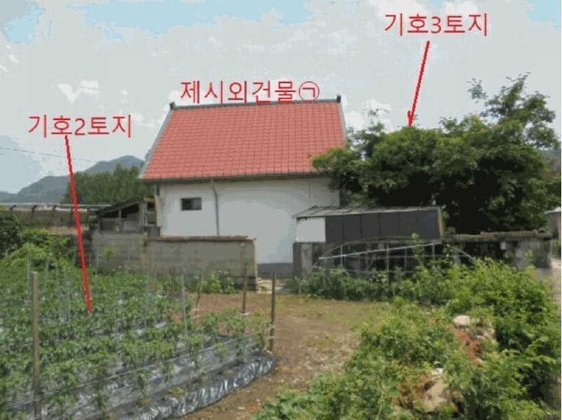 2025타경5342 충청북도 제천시 백운면 평동리 367 대지 경매 이미지
