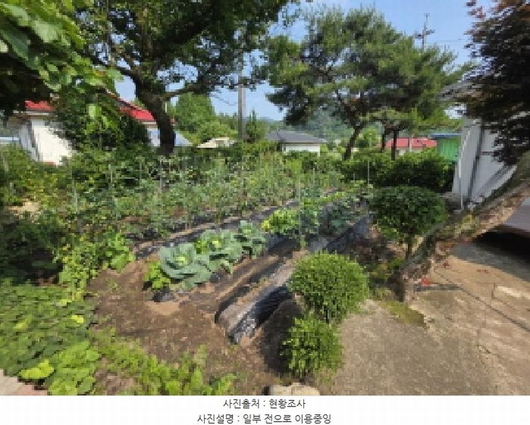 2025타경5342 충청북도 제천시 백운면 평동리 367 대지 경매 이미지