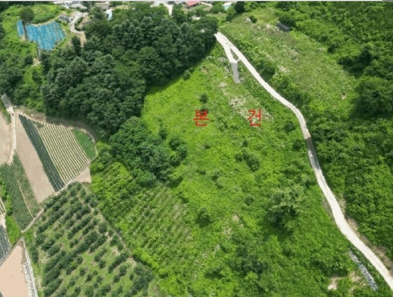2025타경5352 충청북도 단양군 대강면 덕촌리 113 농지 경매 이미지