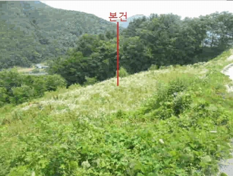 2025타경5352 충청북도 단양군 대강면 덕촌리 113 농지 경매 이미지
