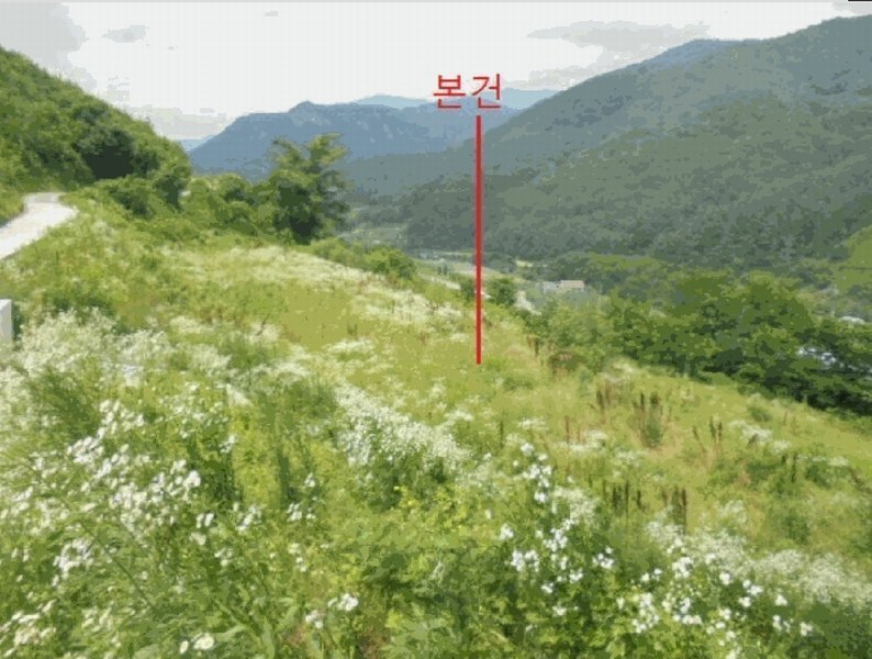 2025타경5352 충청북도 단양군 대강면 덕촌리 113 농지 경매 이미지