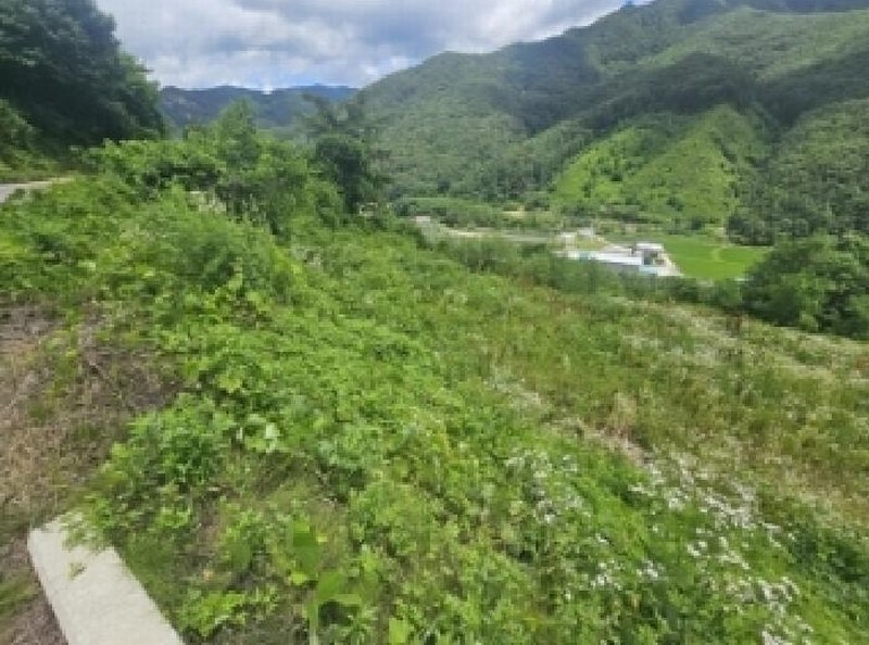 2025타경5352 충청북도 단양군 대강면 덕촌리 113 농지 경매 이미지