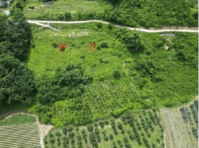 2025타경5352 충청북도 단양군 대강면 덕촌리 113 농지 경매 이미지