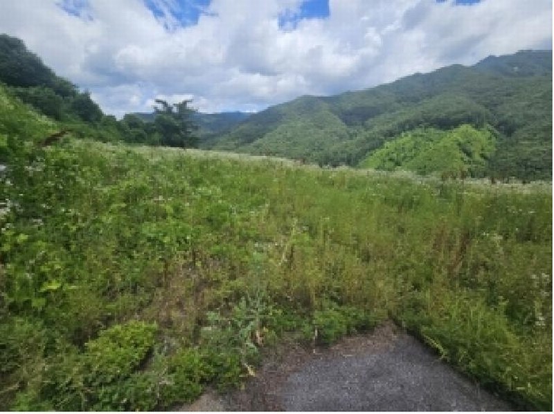 2025타경5352 충청북도 단양군 대강면 덕촌리 113 농지 경매 이미지