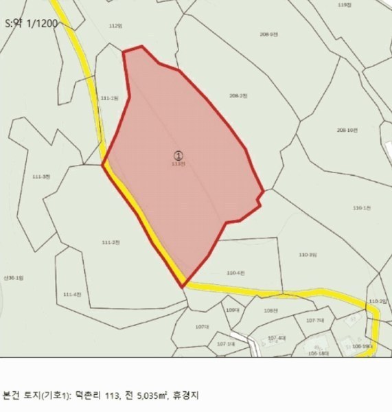 2025타경5352 충청북도 단양군 대강면 덕촌리 113 농지 경매 이미지