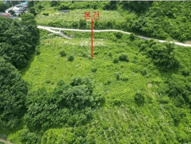 2025타경5352 충청북도 단양군 대강면 덕촌리 113 농지 경매 이미지