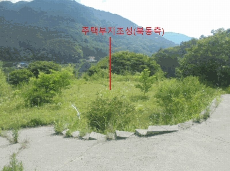 2025타경5354 충청북도 제천시 백운면 덕동리 산22-4 임야 경매 이미지
