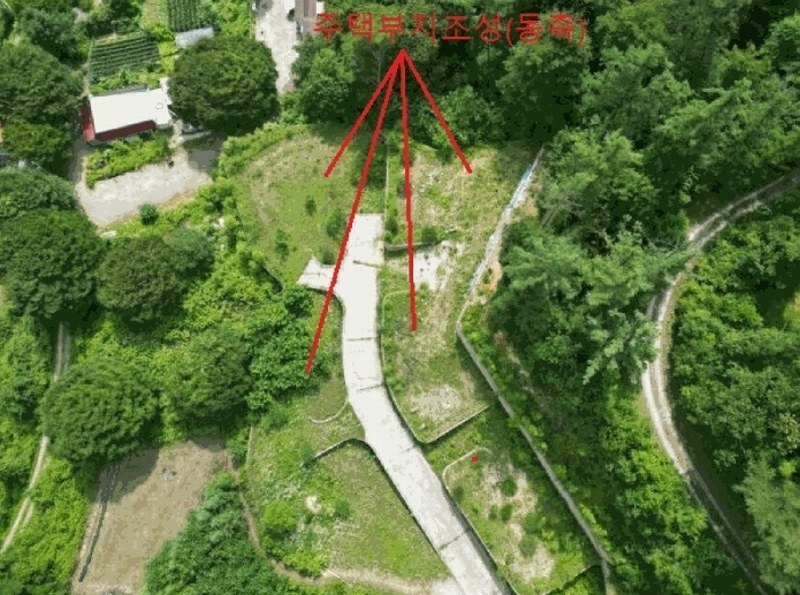 2025타경5354 충청북도 제천시 백운면 덕동리 산22-4 임야 경매 이미지